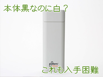 純正キャリングケース